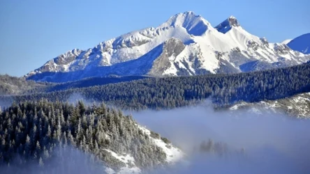 Zvernica to nowa trasa edukacyjna w Tatrach, którą przebędziesz w bryczce konnej