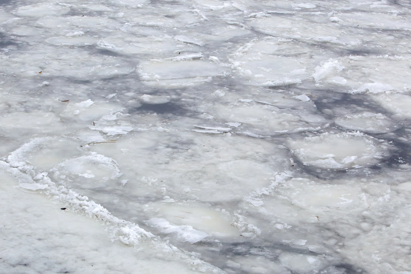 Pokrywa lodowa na powierzchni wody z licznymi nieregularnymi płatami lodu, przez które prześwituje ciemniejsza tafla wody.