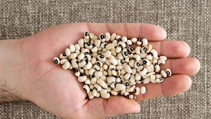 W Polsce jest mało znana. Świetnie wpływa na serce i mięśnie 