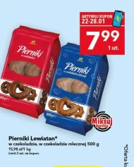 Pierniki w czekoladzie Lewiatan