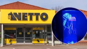 Wyglądają jak z akwarium! Te lampy LED z Netto robią niesamowity klimat