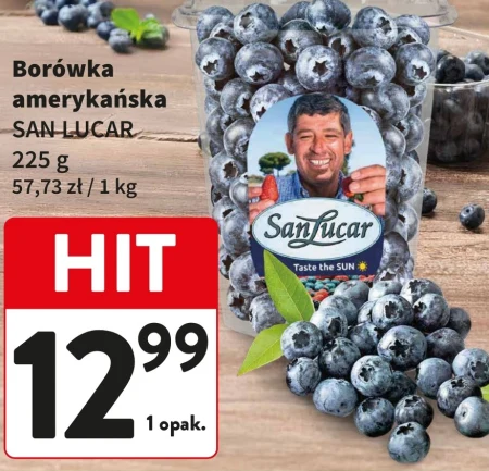 Чорниця San Lucar