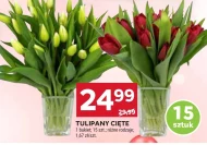 Bukiet tulipanów Tulipany