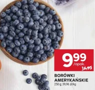 Borówki amerykańskie
