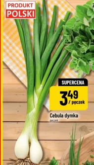 Зелена цибуля Polski