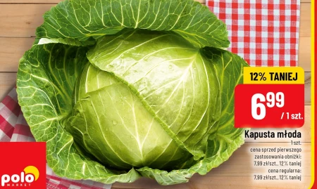 Молода капуста US Polo