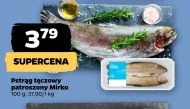 Pstrąg tęczowy Mirko
