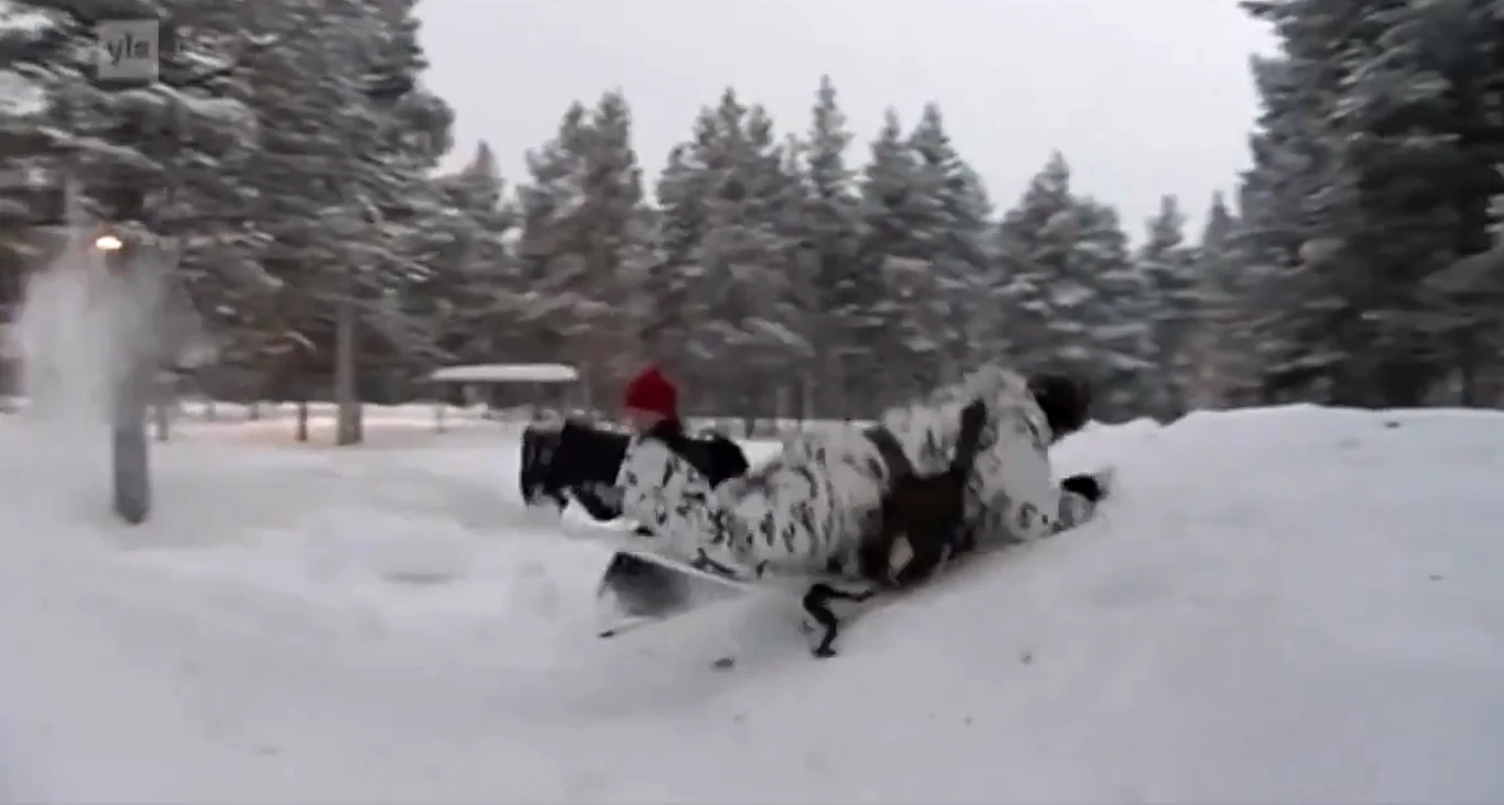 Amerykański żołnierz przewraca się podczas ćwiczeń w arktycznej części Finlandii w 2016 r. (arch.) Żołnierz w zimowym stroju maskującym wykonuje zjazd na sankach po śniegu w otoczeniu lasu iglastego. W tle widoczne są wysokie drzewa oraz lekko zamglony krajobraz zimowy.