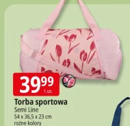 Torba sportowa Semi Line