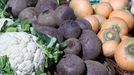 To warzywo w diecie wspierają detoks, dobre trawienie i prawidłowe