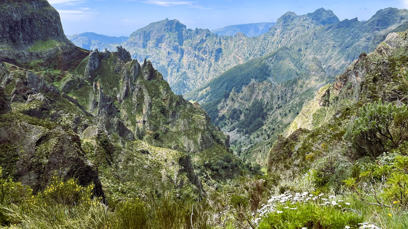 Szczyty i doliny górskie porośnięte zieloną roślinnością, na pierwszym planie bujna flora wysokogórska z kwitnącymi roślinami, w tle rozległe pasma gór i błękitne niebo.