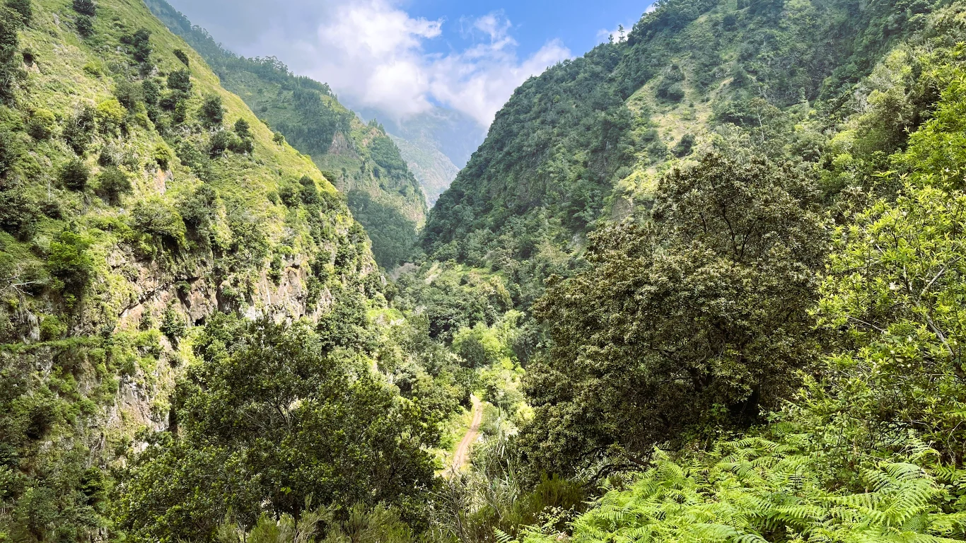 Malowniczy wąwóz otoczony bujną zielenią, wysokie wzgórza pokryte drzewami i krzewami, niebieskie niebo z lekkim zachmurzeniem, liczne odcienie zieleni podkreślające różnorodność flory.