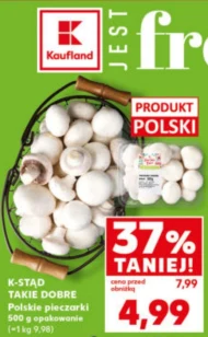 Гриби K-Stąd Takie Dobre