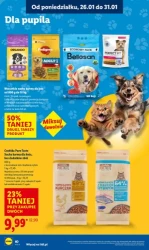 To się opłaca! - Lidl