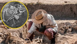 W tym kraju ludzie jedli psy. Odkryli kości sprzed 2500 lat