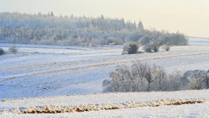 ​Szlakiem królewskich ruin, krasowych jaskiń i ludowych tradycji, czyli zima w Świętokrzyskiem