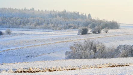 ​Szlakiem królewskich ruin, krasowych jaskiń i ludowych tradycji, czyli zima w Świętokrzyskiem