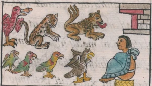 Nowe badanie ujawnia pośrednie dowody na istnienie zoo Montezumy