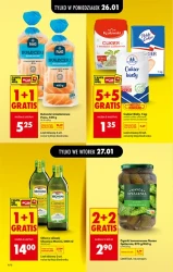 Низькі ціни на кожен день - Ladybird