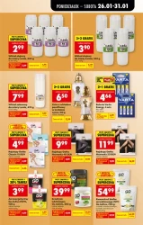 Niskie ceny na każdy dzień - Biedronka