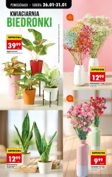 Низькі ціни на кожен день - Ladybird