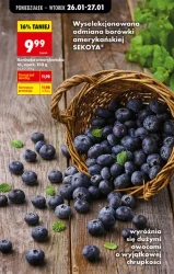 Niskie ceny na każdy dzień - Biedronka