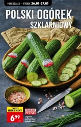 Низькі ціни на кожен день - Ladybird