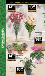 Свіжо та економно - Центр Делікатесів