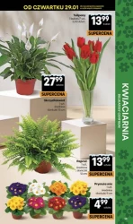 Свіжо та економно - Центр Делікатесів