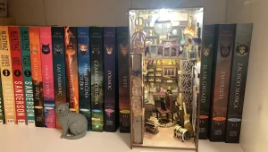 Coś niezwykłego na półce z książkami. Ta ozdoba to hit wśród czytelników