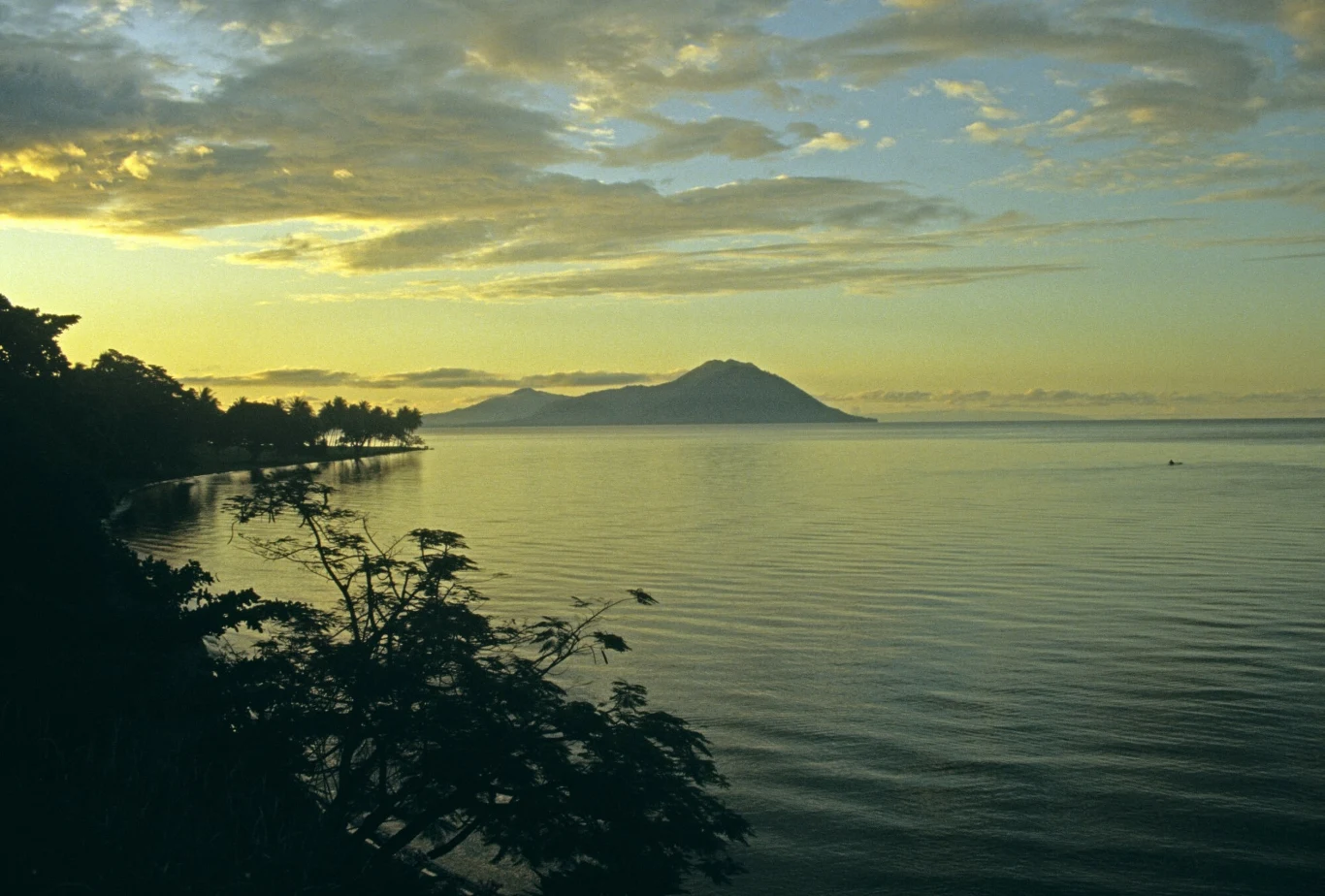 Wybrzeże z roślinnością na pierwszym planie, spokojna tafla wody oraz góra położona na horyzoncie. Niebo pokryte żółtawymi chmurami oświetlonymi przez wschodzące lub zachodzące słońce.