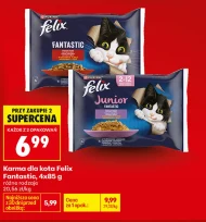 Karma dla kota Felix