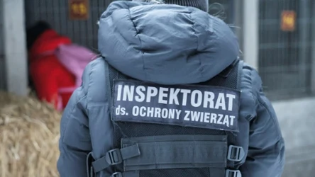 O fatalnej sytuacji ochrony praw zwierząt w Polsce mówi się głośno dopiero od kilku tygodni 