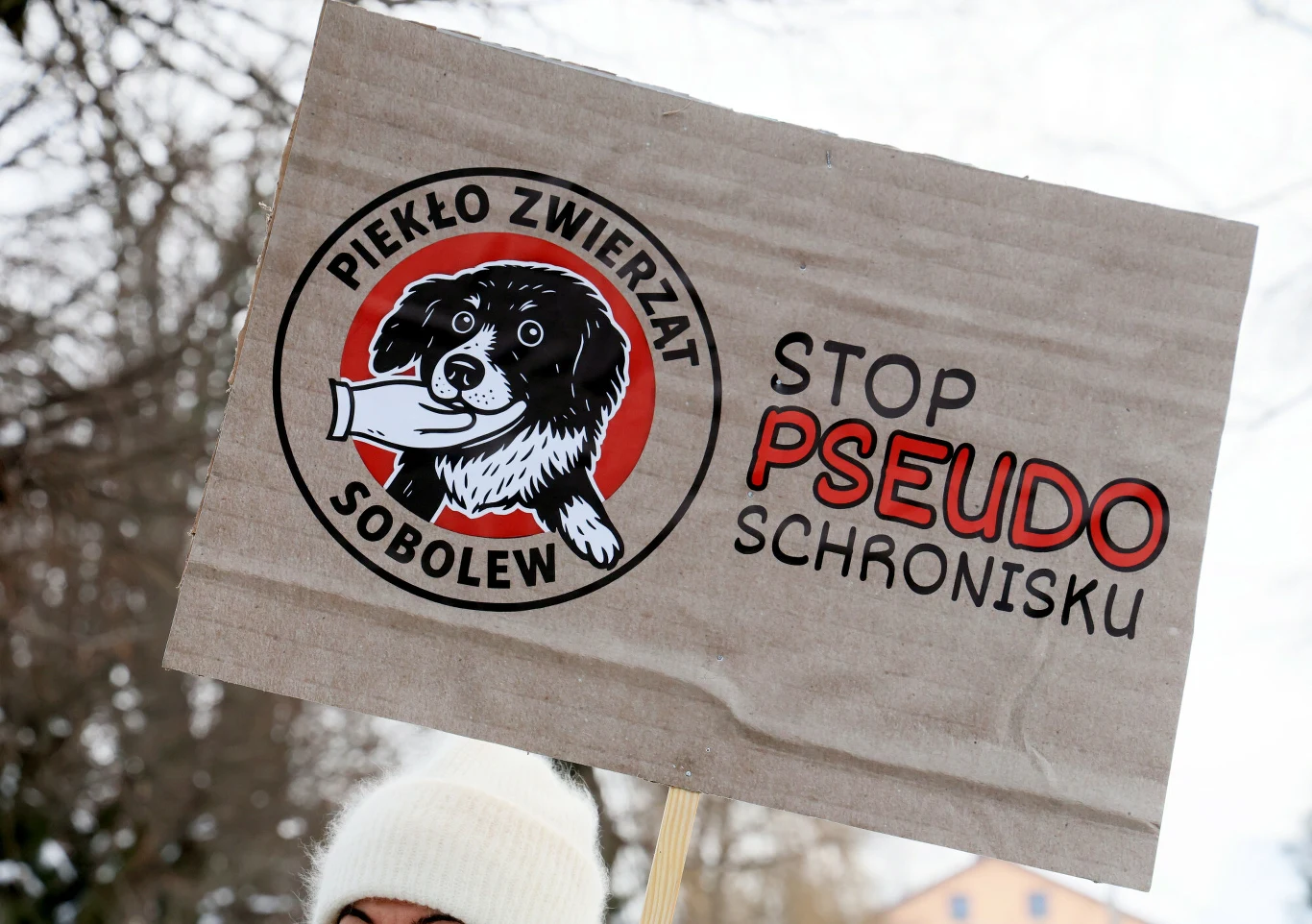 Obnażenie niewydolności systemu w zakresie ochrony praw zwierząt wywołuje skrajne reakcje społeczeństwa Tekturowy transparent z rysunkiem psa oraz napisami Piekło Zwierząt Sobolew i Stop pseudo schronisku, wykorzystywany podczas manifestacji przeciwko nielegalnym schroniskom dla zwierząt.