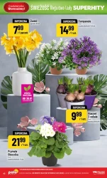 Насиченість прилавка - POLOmarket