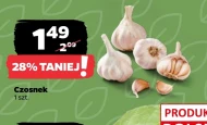 Czosnek
