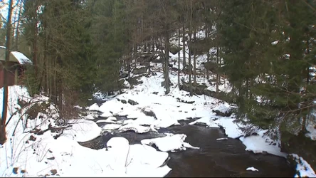 Czysta Polska - odcinek 247