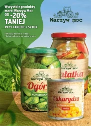 Pysznie i taniej na co dzień - Dino