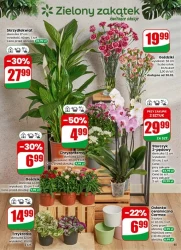 Смачно та доступно щодня - Dino