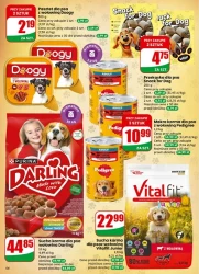 Смачно та доступно щодня - Dino