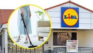 Polacy ruszą do Lidla po ten odkurzacz. Cena może zaskoczyć