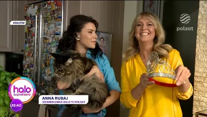 Lektor "Halo tu Polsat" odsłonił twarz. Sławomir Kowalewski z żoną Ewą Wachowicz 