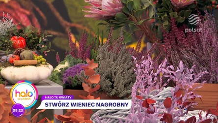 Trendy w dekoracjach na Wszystkich Świętych. To warzywo robi furorę