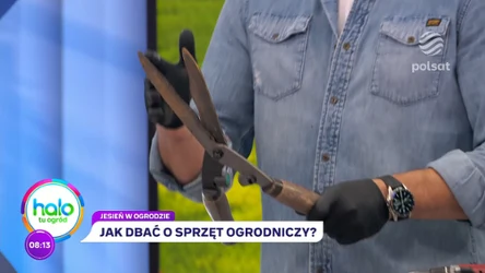 Zadbaj o narzędzia przed zimą. Tak zaoszczędzisz sobie wydatków na wiosnę