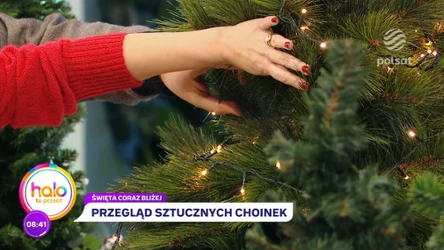 Wybierz choinkę już w listopadzie. Ekspertka wyjaśnia, na co zwrócić uwagę przy zakupie świątecznego