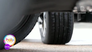 Na co warto zwrócić uwagę podczas zakupu opon? Ekspert wyjaśnia