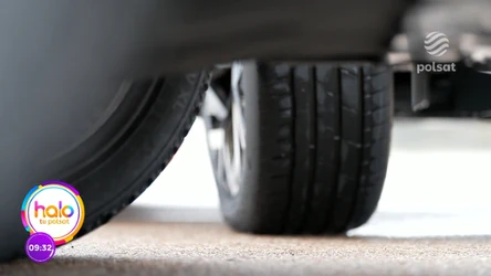 Na co warto zwrócić uwagę podczas zakupu opon? Ekspert wyjaśnia