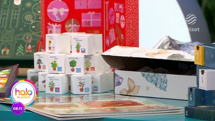 Skąd się wzięły kalendarze adwentowe? Ich wybór w sklepach zaskakuje, nie brakuje także tych dla dor