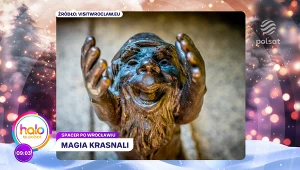 Magia wrocławskich krasnali