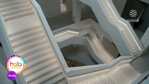 Muzeum Sztuki Nowoczesnej budzi ogromne kontrowersje. Dlaczego?